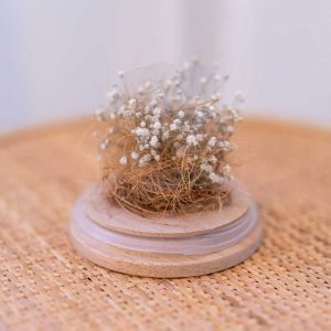 Designer Dried Flower Domes