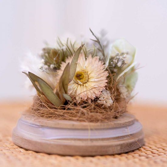 Designer Dried Flower Domes Bella Rosa Designer Florist Tauranga